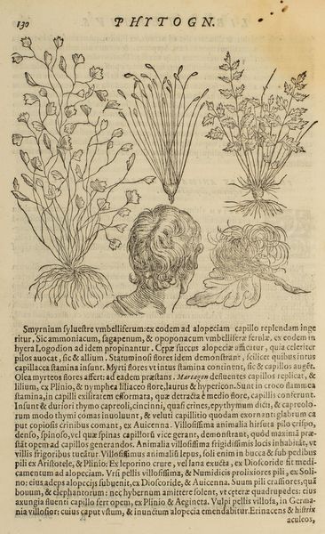 ,Della Porta, Giovanni Battista : Phytognomonica  - Asta Libri, Autografi e Stampe - Associazione Nazionale - Case d'Asta italiane