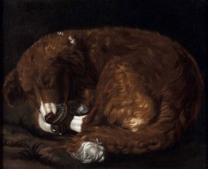 Scuola italiana del XVIII secolo Ritratto di cane dormiente  - Asta Old Masters Paintings - Associazione Nazionale - Case d'Asta italiane