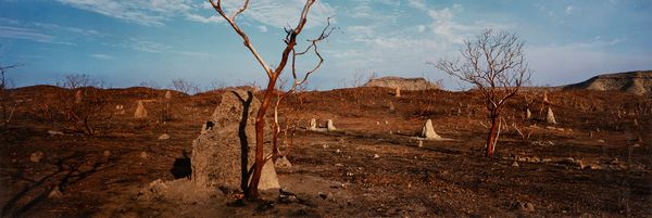 ,Wim Wenders : In memory of Carlo Di Palma  - Asta Fotografia: Under 1K - Associazione Nazionale - Case d'Asta italiane