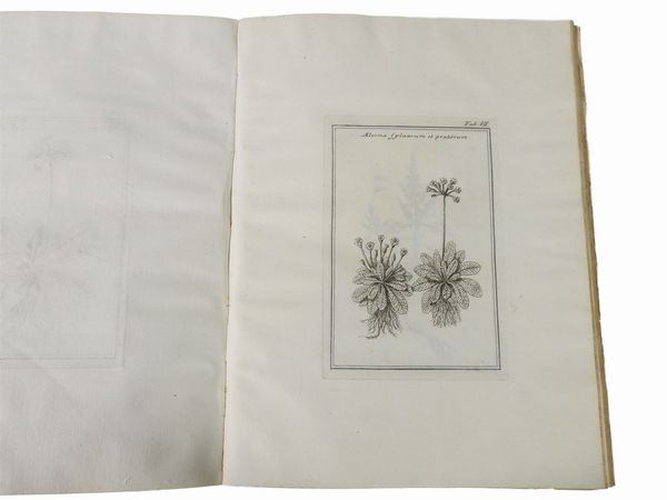 Fabio Colonna : Fabi Columnae Lyncei Phytobasanos cui accessit Vita Fabi et Lynceorum notitia  - Asta Libri Antichi e Libri d'Arte - Associazione Nazionale - Case d'Asta italiane