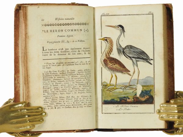 Georges Louis Buffon Leclerc, comte de : Histoire naturelle gnrale et particulire  - Asta Libri Antichi e Libri d'Arte - Associazione Nazionale - Case d'Asta italiane