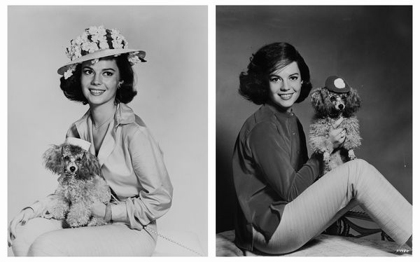 Anonimo : Natalie Wood  - Asta Fotografia - Associazione Nazionale - Case d'Asta italiane