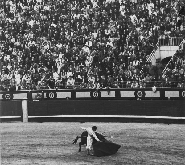 Vittorio Garatti, Attribuito a : Senza titolo (Corrida)  - Asta Fotografia - Associazione Nazionale - Case d'Asta italiane