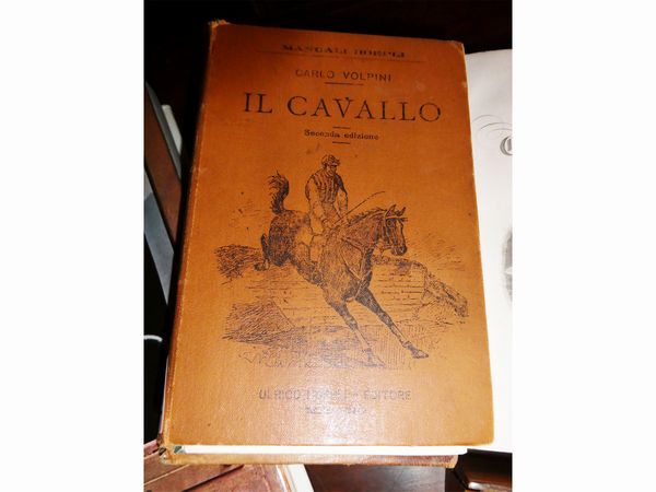 Lotto di libri e curiosit su Cavallo ed Equitazione  - Asta Arredi e dipinti da un antico palazzo marchigiano - Associazione Nazionale - Case d'Asta italiane