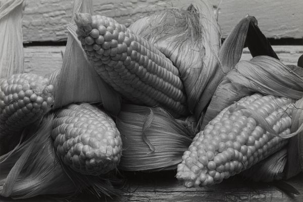 Louis Stettner : Corn, Athens, New York taken summer  - Asta Fotografia - Associazione Nazionale - Case d'Asta italiane