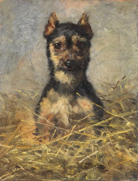 Yorkshire terrier  - Asta Dipinti e Sculture del XIX e XX secolo - Associazione Nazionale - Case d'Asta italiane