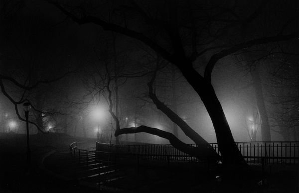 Lynn Saville : Riverside Park, New York, dalla serie Acquainted with the Night  - Asta Fotografia: Under 1K - Associazione Nazionale - Case d'Asta italiane