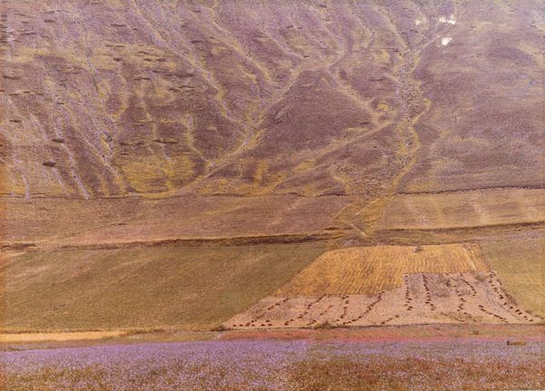 Mario Giacomelli : Paesaggio  - Asta Fotografia: Under 1K - Associazione Nazionale - Case d'Asta italiane