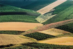 Franco Fontana - Sicilia