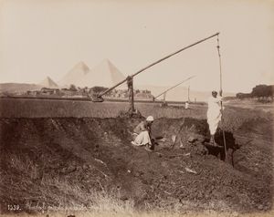 Félix Bonfils : Parc aux autruches de matareyeh ; Chadoufs pres des pyramides  - Asta Fotografia: Under 1K - Associazione Nazionale - Case d'Asta italiane