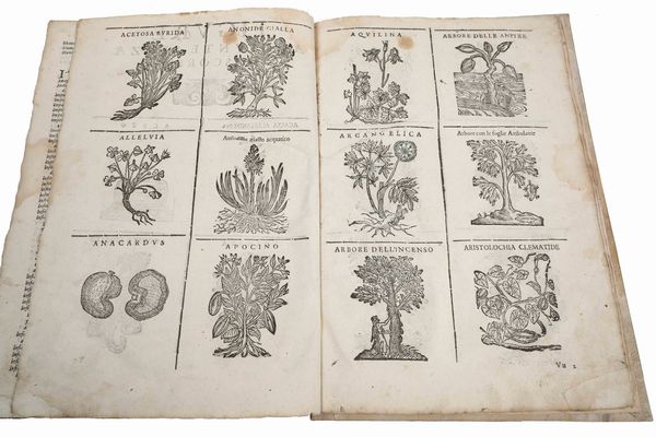 CASTORE DURANTE : Erbario Nuovo...In Venetia, appresso li Sessa, 1602<BR>Herbario novo di Castore Durante medico & cittadino romano : con figure che rappresentano le vive piante che nascono in tutta Europa & nell'Indie Orientali & Occidentali	<BR>  - Asta Libri Antichi e Rari. Incisioni - Associazione Nazionale - Case d'Asta italiane