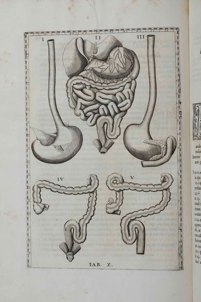 Bartolomeo Eustacchio Tabul anatomic clarissimi viri... Ex Officina Typographyca Francisci Gonzag in Via Iata, Roma, 1714  - Asta Libri Antichi e Rari. Incisioni - Associazione Nazionale - Case d'Asta italiane