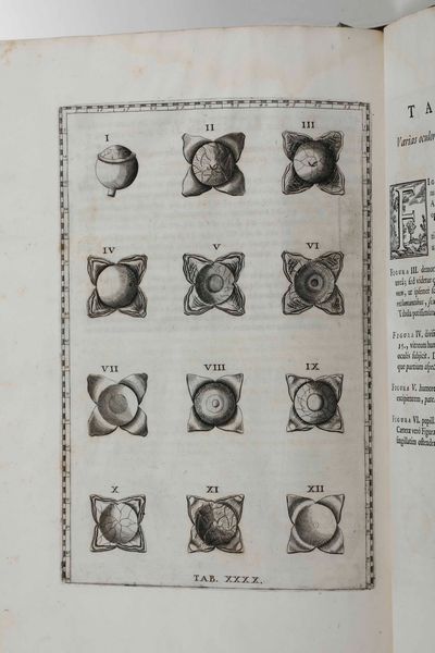 Bartolomeo Eustacchio Tabul anatomic clarissimi viri... Ex Officina Typographyca Francisci Gonzag in Via Iata, Roma, 1714  - Asta Libri Antichi e Rari. Incisioni - Associazione Nazionale - Case d'Asta italiane