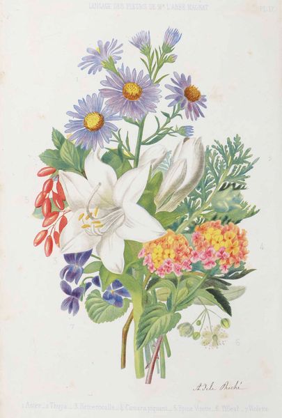 Casimir Magnat : Trait du langage symbolique, emblematique et religieux des fleurs, Paris, A. Touzet (1855)  - Asta Libri Antichi e Rari. Incisioni - Associazione Nazionale - Case d'Asta italiane