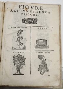 CASTORE DURANTE : Erbario Nuovo...In Venetia, appresso li Sessa, 1602<BR>Herbario novo di Castore Durante medico & cittadino romano : con figure che rappresentano le vive piante che nascono in tutta Europa & nell'Indie Orientali & Occidentali	<BR>  - Asta Libri Antichi e Rari. Incisioni - Associazione Nazionale - Case d'Asta italiane