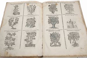 CASTORE DURANTE : Erbario Nuovo...In Venetia, appresso li Sessa, 1602<BR>Herbario novo di Castore Durante medico & cittadino romano : con figure che rappresentano le vive piante che nascono in tutta Europa & nell'Indie Orientali & Occidentali	<BR>  - Asta Libri Antichi e Rari. Incisioni - Associazione Nazionale - Case d'Asta italiane