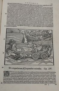 Marco Vitruvio Pollione - Daniele Barbaro : M.Vitruuvii Pollionis De Architectura Libri Decem, cum commentariis Danielis Barbari, electi patriarchae aquileiensis...Venetiis, apud Franciscum Franciscum Senensem, & Ioan. Crugher Germanum, 1567.  - Asta Libri Antichi e Rari. Incisioni - Associazione Nazionale - Case d'Asta italiane