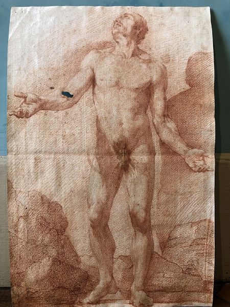 Scuola bolognese del XVIII secolo Studio di nudo  - Asta Dipinti Antichi  - Associazione Nazionale - Case d'Asta italiane