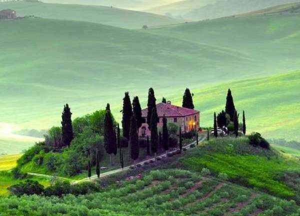 CASTIGLION DEL BOSCO - Montalcino (Siena)  - Asta Asta a tempo AIRC - Associazione Nazionale - Case d'Asta italiane