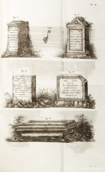 Jean-Francois Albanis  Beaumont : Description des Alpes grecques et cottiennes ou tableau historique et statistique de la Savoie  - Asta Libri, autografi e stampe - Associazione Nazionale - Case d'Asta italiane