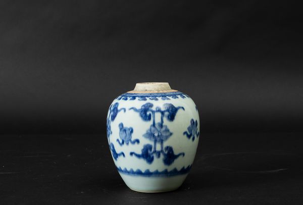 Piccola Ginger Jar in porcellana bianca e blu con decori naturalistici, Cina, Dinastia Qing, epoca Shunzhi (1644-1661)  - Asta Arte Orientale - Associazione Nazionale - Case d'Asta italiane