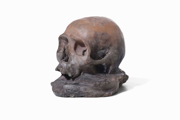 Memento Mori. Terracotta modellata. Plasticatore italiano del XVIII secolo  - Asta Scultura e Oggetti d'Arte - Associazione Nazionale - Case d'Asta italiane