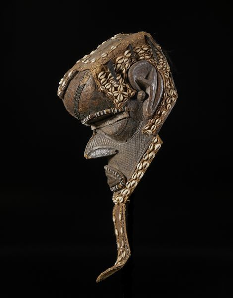 . : Cranio in ceraItalia, XIX(?) secolo  - Asta Asta 392 | ARTE ORIENTALE E ISLAMICA - ARTE AFRICANA, OCEANICA E DELLE AMERICHE - EAST AND SOUTH: ASIAN, ISLAMIC, INDIAN AND ETHNOGRAPIC ART Online - Associazione Nazionale - Case d'Asta italiane