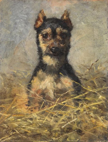 Yorkshire terrier  - Asta PARADE II - Dipinti del XIX e XX secolo  - Associazione Nazionale - Case d'Asta italiane