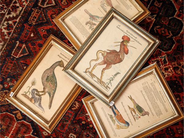 ULISSE ALDROVANDI : Ornithologiae  - Asta L'Arte di Arredare - Associazione Nazionale - Case d'Asta italiane