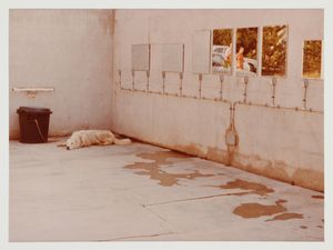 Luigi Ghirri : Portfolio Cantergiani 1977  - Asta Arte Moderna e Contemporanea - Associazione Nazionale - Case d'Asta italiane