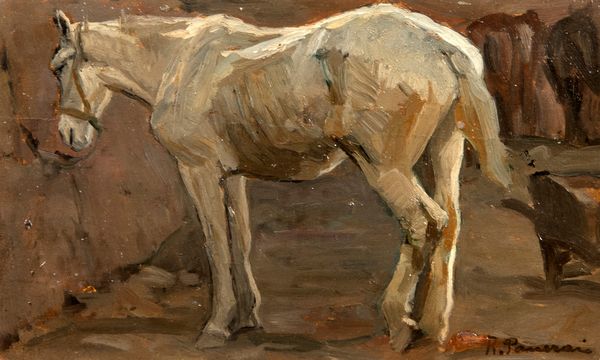 Ruggero Panerai : Cavallo bianco  - Asta Arte figurativa tra XIX e XX secolo - Associazione Nazionale - Case d'Asta italiane