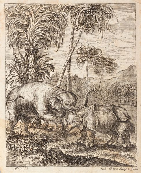 Goetchebuer Petrus Jacobus : Elephantographia curiosa seu Elephanti Descriptio  - Asta Libri, Autografi e Stampe - Associazione Nazionale - Case d'Asta italiane