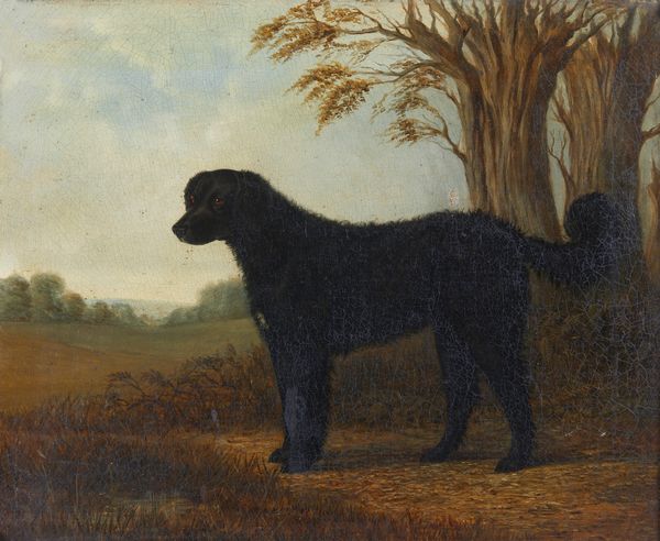 FERNELEY JOHN (1815 - 1862) : Attribuito a. Paesaggio con cane  - Asta Asta 401 | ARTE ANTICA E DEL XIX SECOLO Online - Associazione Nazionale - Case d'Asta italiane