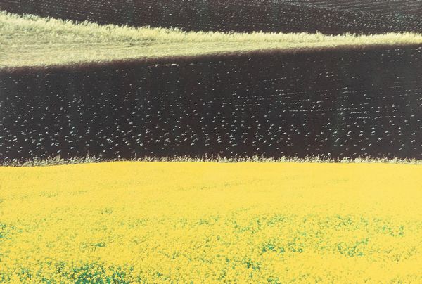 Franco Fontana : Paesaggio  - Asta Fotografia: Under 1K - Associazione Nazionale - Case d'Asta italiane