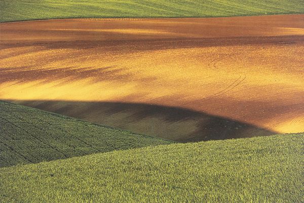 Franco Fontana : Paesaggio  - Asta Fotografia: Under 1K - Associazione Nazionale - Case d'Asta italiane