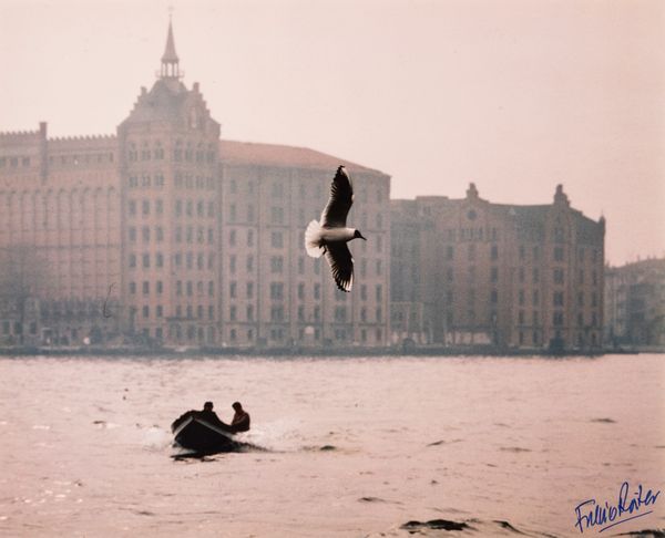 FULVIO ROITER : Senza titolo (Venezia)  - Asta Fotografia: Under 1K - Associazione Nazionale - Case d'Asta italiane