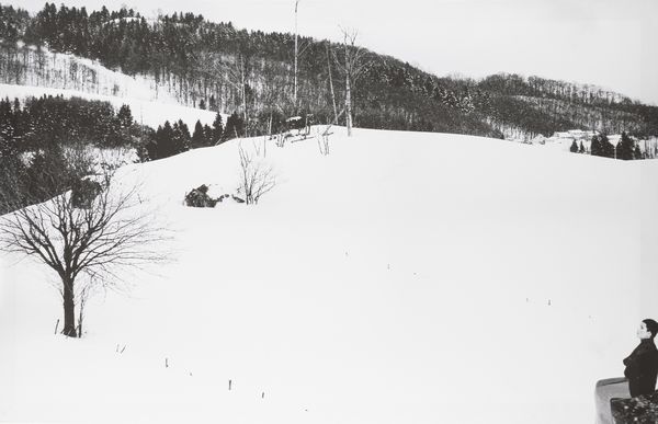 Abbas Gharib : Snow and Nature Composition  - Asta Fotografia: Under 1K - Associazione Nazionale - Case d'Asta italiane