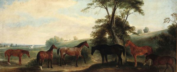 Calvert Henry : Horses in a landscape  - Asta Antiquariato - Associazione Nazionale - Case d'Asta italiane