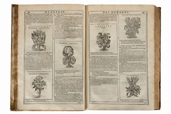 Durante Castore : Herbario nuovo  - Asta Libri, Autografi e Stampe - Associazione Nazionale - Case d'Asta italiane