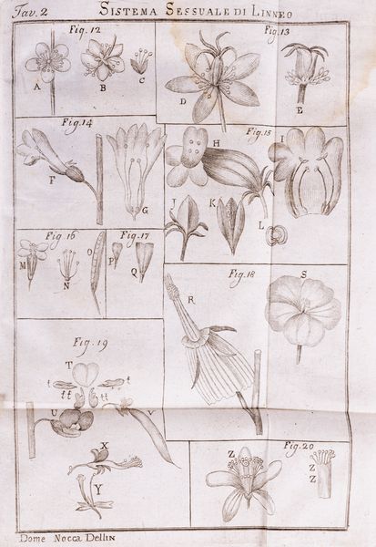 Domenico Nocca : Elementi di Botanica Pratica  - Asta Libri, Autografi e Stampe - Associazione Nazionale - Case d'Asta italiane