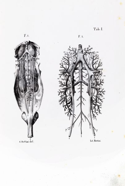 Luigi Galvani : Opere edite ed inedite [...] Raccolte e pubblicate per cura dell'Accademia delle Scienze dell'Istituto di Bologna  - Asta Libri, Autografi e Stampe - Associazione Nazionale - Case d'Asta italiane