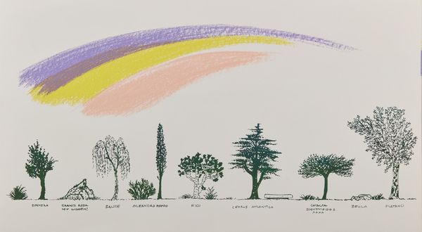 MUNARI BRUNO (1907 - 1998) : Dalla cartella: Un viale di alberi diversi.  - Asta Asta 413 | GRAFICA MODERNA, FOTOGRAFIA E MULTIPLI D'AUTORE Online - Associazione Nazionale - Case d'Asta italiane