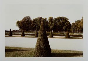 BASILICO GABRIELE (1944 - 2013) - Senza titolo (Giardini).