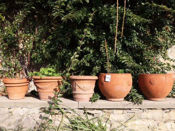 Cinque vasi in terracotta  - Asta Una casa al Ponte Vecchio - Associazione Nazionale - Case d'Asta italiane