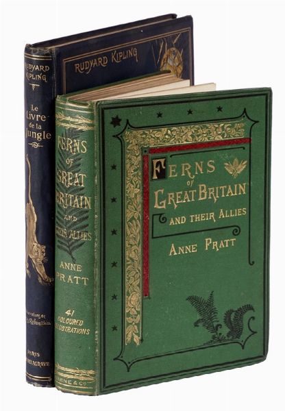 ANNE PRATT : The Ferns of Great Britain and Their Allies...  - Asta Libri a stampa dal XVI al XX secolo | ASTA A TEMPO - PARTE II  - Associazione Nazionale - Case d'Asta italiane