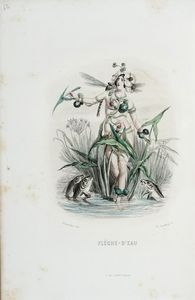 GRANDVILLE J.J. [PSEUD. DI GRARD JEAN IGNACE ISIDORE] : Les Fleurs Animes [...] Premire partie (-deuxime).  - Asta Libri a stampa dal XVI al XX secolo | ASTA A TEMPO - PARTE II  - Associazione Nazionale - Case d'Asta italiane