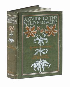 ALICE LOUNSBERRY : A guide to the wild flowers.  - Asta Libri a stampa dal XVI al XX secolo | ASTA A TEMPO - PARTE II  - Associazione Nazionale - Case d'Asta italiane