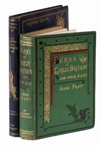 ANNE PRATT : The Ferns of Great Britain and Their Allies...  - Asta Libri a stampa dal XVI al XX secolo | ASTA A TEMPO - PARTE II  - Associazione Nazionale - Case d'Asta italiane