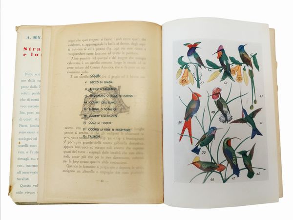 Miscellanea di libri d'arte: Natura  - Asta Libri Antichi e d'Arte - Associazione Nazionale - Case d'Asta italiane