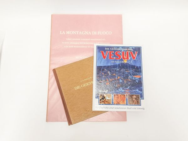 Miscellanea di libri sul Vesuvio  - Asta Libri Antichi e d'Arte - Associazione Nazionale - Case d'Asta italiane